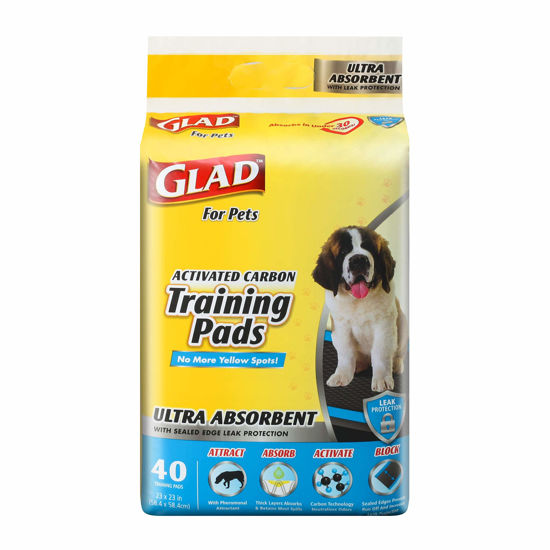 Pee pads that attract discount dogs