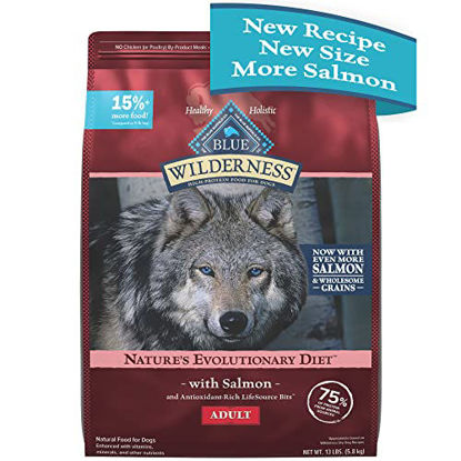 Picture of Blue Buffalo Wilderness High Protein Natural Adult Dry Dog Food Plus Wholesome Grains, Salmon 13 lb Bag