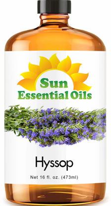 Picture of Sun Essential Oils 16oz - Hyssop Essential Oil - 16 Fluid Ounces