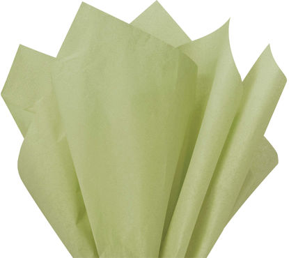 Picture of Flexicore Packaging Willow Green Gift Wrap Tissue Paper Size: 15 Inch X 20 Inch | Count: 100 Sheets | Color: Willow