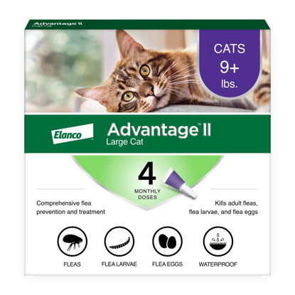 Picture of Advantage II Large Cat Vet-Recommended Flea Treatment & Prevention | Cats Over 9 lbs. | 4-Month Supply