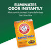 Picture of Arm & Hammer Cat Litter Deodorizer, 20 Oz, Orange 1.25 Pound (Pack of 1)