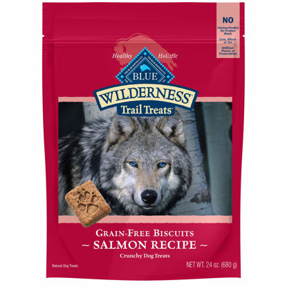 Picture of Blue Buffalo Wilderness Trail Treats High Protein Grain Free Crunchy Dog Treats Biscuits, Salmon Recipe 24-oz Bag