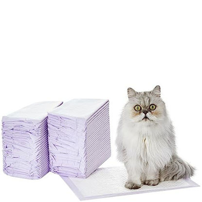 Picture of Amazon Basics Cat Pad Refills for Litter Box, Unscented, Pack of 60, Purple