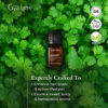 Picture of Gya Labs Coriander Essential Oil (10ml) - Sweet, Spicy & Herbaceous Scent