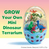 Picture of Creativity for Kids Mini Garden: Dinosaur Terrarium - Arts and Crafts for Boys and Girls Ages 6-8+