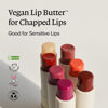 Picture of Melixir Vegan Lip Butter #15 Dirty Pink(Tinted) (+11 more colors), Bee Free, Petrolatum Free, Deep Nourishing Plant-Based Vegan Chapstick, Vegan Lip Balm for Dry, Cracked and Chapped Lips, Moisturizing Lip Care Gift