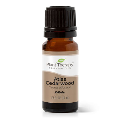 Picture of Plant Therapy Cedarwood Atlas Essential Oil 100% Pure, Undiluted, Natural Aromatherapy, Therapeutic Grade 10 mL (1/3 oz)