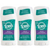 Picture of Tom's of Maine Long-Lasting Aluminum-Free Natural Deodorant for Women, Wild Lavender, 2.25 oz. 3-Pack (Packaging May Vary)