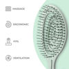 Picture of Ninabella Organic Detangling Hair Brush for Women, Men & Children - Does not Pull on Hair - Hair Straightening Brushes for Straight, Curly & Wet Hair - Unique Spiral Hairbrush Green