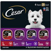 Picture of CESAR Wet Dog Food Classic Loaf in Sauce Beef Recipe, Filet Mignon, Grilled Chicken and Porterhouse Steak Variety Pack, (24) 3.5 oz. Easy Peel Trays