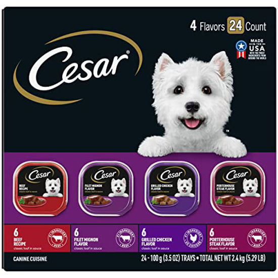 GetUSCart CESAR Wet Dog Food Classic Loaf in Sauce Beef Recipe, Filet
