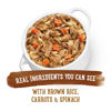 Picture of Purina Beneful High Protein, Wet Dog Food With Gravy, Prepared Meals Roasted Chicken Recipe - (8) 10 oz. Tubs