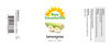 Picture of Sun Essential Oils 16oz - Lemongrass Essential Oil - 16 Fluid Ounces