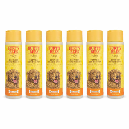 Picture of Burt's Bees for Pets Natural Oatmeal Conditioner with Colloidal Oat Flour & Honey | Dog Oatmeal Shampoo, Cruelty Free, Sulfate & Paraben Free, pH Balanced for Dogs - Made in the USA | 10 Oz - 6 Pack