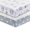 Picture of 2 Pack Fitted Crib Sheets for Girls in 100% Jersey Knit Cotton - Girl’s Crib Mattress Sheets with a Nature Theme of Owls with Purple and Pink Hearts and a Gray Sheet with Pink Hearts by Everyday Kids