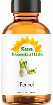 Picture of Sun Essential Oils 2oz - Fennel Essential Oil - 2 Fluid Ounces
