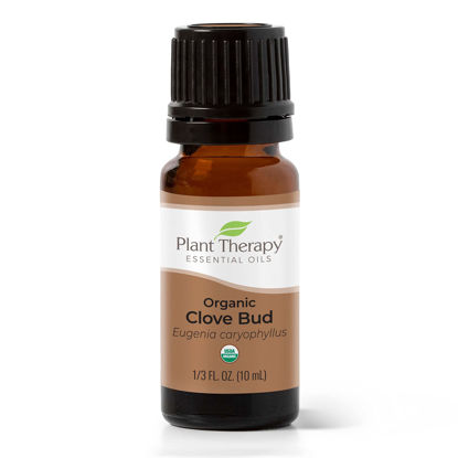 Picture of Plant Therapy Organic Clove Bud Essential Oil 100% Pure, USDA Certified Organic, Undiluted, Natural Aromatherapy, Therapeutic Grade 10 mL (1/3 oz)
