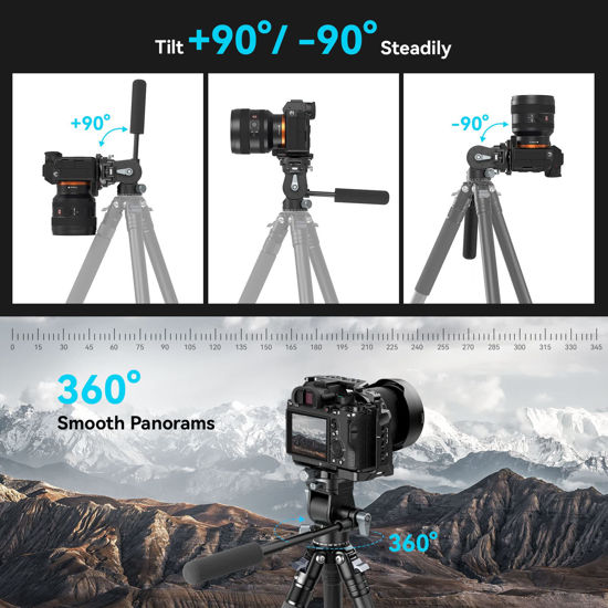SMALLRIG Video Tripod Head for Vertical/Horizontal Shooting, Pan-Tilt Liquid Head with Switchable QR Plate for Arca, Max Load 5kg/11 Ibs for Camcorder, Mirrorless, DSLR - 4104