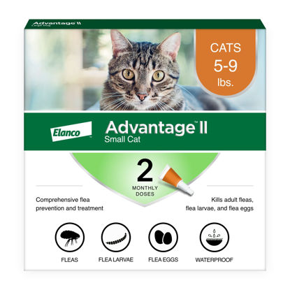 Picture of Advantage II Small Cat Vet-Recommended Flea Treatment & Prevention | Cats 5-9 lbs. | 2-Month Supply