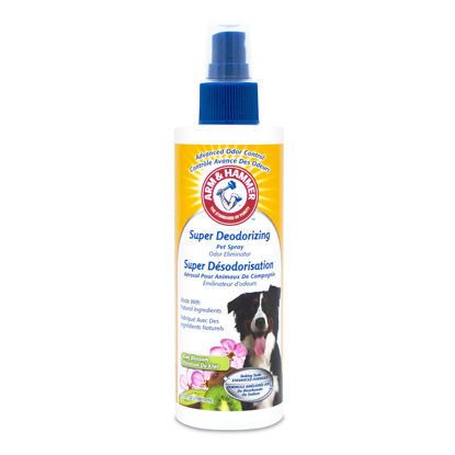Picture of Arm & Hammer For Pets Super Deodorizing Spray for Dogs | Best Odor Eliminating Spray for All Dogs & Puppies | Fresh Kiwi Blossom Scent That Smells Great, 6.7 Ounces-1 Pack (FF9367)