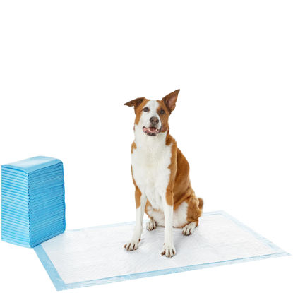 Picture of Amazon Basics Dog and Puppy Pee Pads with Leak-Proof Quick-Dry Design for Potty Training, Standard Absorbency, Giant, 27.5 x 44 Inches - Pack of 40