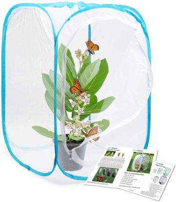 Picture of RESTCLOUD Insect and Butterfly Habitat Cage Terrarium Pop-up 24 Inches Tall