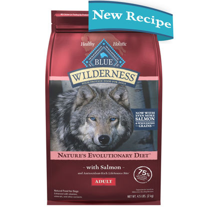 Picture of Blue Buffalo Wilderness High Protein Natural Adult Dry Dog Food Plus Wholesome Grains, Salmon 4.5 lb Bag