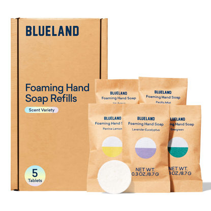 Picture of BLUELAND Foaming Hand Soap Refills - 5 Pack Tablets, Variety Pack Scents - Eco Friendly Hand Soap and Cleaning Products - Makes 5 x 9 Fl oz bottles (45 Fl oz total)