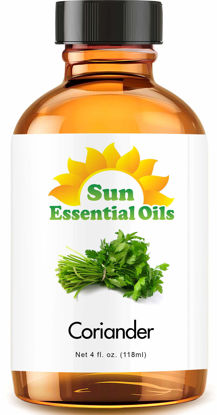 Picture of Sun Essential Oils 4oz - Coriander Essential Oil - 4 Fluid Ounces