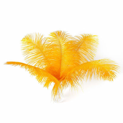 Picture of 24pcs Natural Luxury Gold Ostrich Feathers 10-12inch (25-30cm) for Wedding Party Centerpieces，Flower Arrangement and Home Decoration.