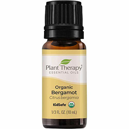 Picture of Plant Therapy Organic Bergamot Essential Oil 10 mL (1/3 oz) 100% Pure, Undiluted, Therapeutic Grade
