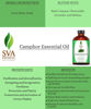 Picture of SVA Organics Camphor Essential Oil (118 ml)- 100% Pure and Natural Therapeutic Grade Essential Oil | Perfect for Aromatherapy, Relaxation,Skin (4 Ounce)