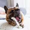 Picture of Nylabone Power Chew Flavored Durable Chew Toy for Dogs Chicken Medium/Wolf (1 Count)