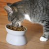 Picture of Kitty City Raised Cat Food Bowl Collection_Stress Free Pet Feeder and Waterer