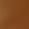 Picture of Liquitex BASICS Acrylic Paint, 118ml (4-oz) Tube, Raw Sienna