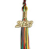 Picture of Endea Graduation Mixed Double Color Tassel with Gold Date Drop (Kente, 2023)