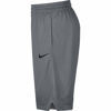 Picture of Nike Dri-FIT Icon, Men's basketball shorts, Athletic shorts with side pockets, Cool Grey/Cool Grey/Black, M
