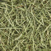 Picture of Kaytee All Natural Timothy Hay for Guinea Pigs, Rabbits & Other Small Animals, 24 Ounce