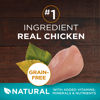 Picture of Purina ONE Natural, High Protein, Grain Free Dry Cat Food, True Instinct With Real Chicken - 6.3 lb. Bag