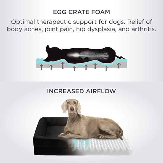 Photo inspiration: Visual Reference: Getuscart Bedsure Small Orthopedic Dog Bed Bolster Dog Beds For