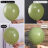 Picture of PartyWoo Retro Green Balloons, 50 pcs 12 Inch Sage Green Balloons, Green Balloons for Balloon Garland Arch as Party Decorations, Birthday Decorations, Wedding Decorations, Baby Shower Decorations