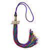Picture of Endea Graduation Mixed Double Color Tassel with Gold Date Drop (Rainbow, 2022)