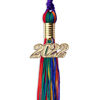 Picture of Endea Graduation Mixed Double Color Tassel with Gold Date Drop (Rainbow, 2022)