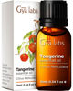 Picture of Gya Labs Tangerine Oils - 0.34 fl oz