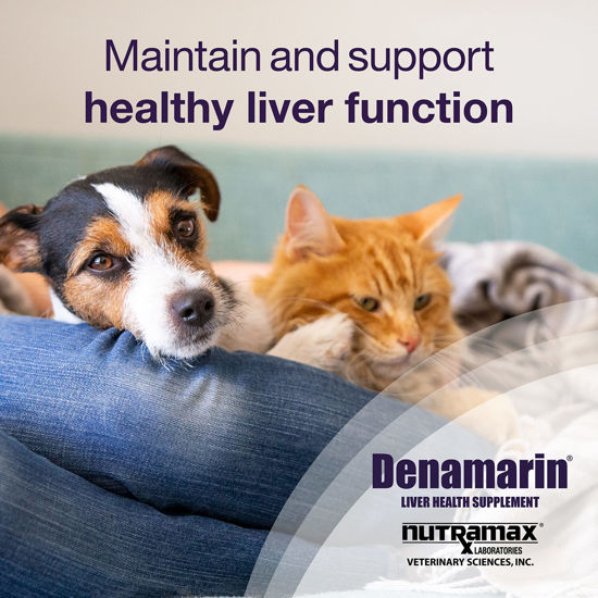 GetUSCart Nutramax Denamarin Liver Health Supplement for Small Dogs