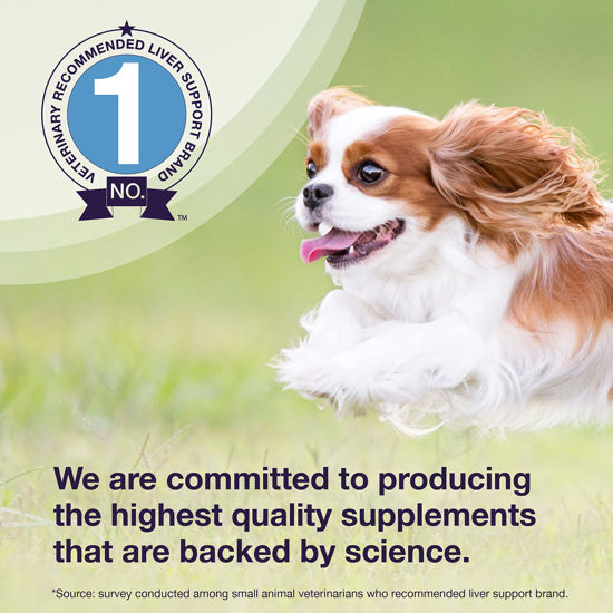 GetUSCart- Nutramax Denamarin Liver Health Supplement for Small Dogs ...