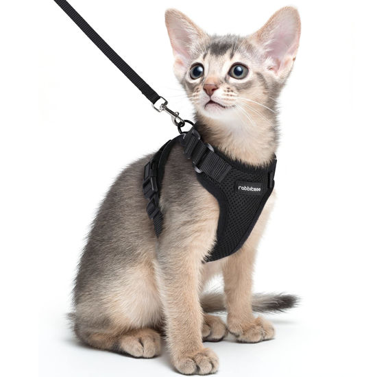 Cat deals walking vest