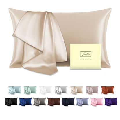 Picture of Natural Mulberry Silk Pillowcase for Hair and Skin Standard Size 20"X 26" Silk Pillow Case with Hidden Zipper Soft Breathable Smooth Cooling Silk Pillow Covers for Sleeping(Champagne,Standard,1Pcs)