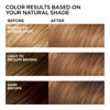 Picture of L'Oreal Paris Feria Multi-Faceted Shimmering Permanent Hair Color, 63 Sparkling Amber, Pack of 2, Hair Dye